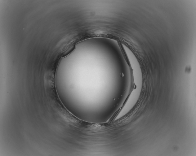 X0000090870421200708171629