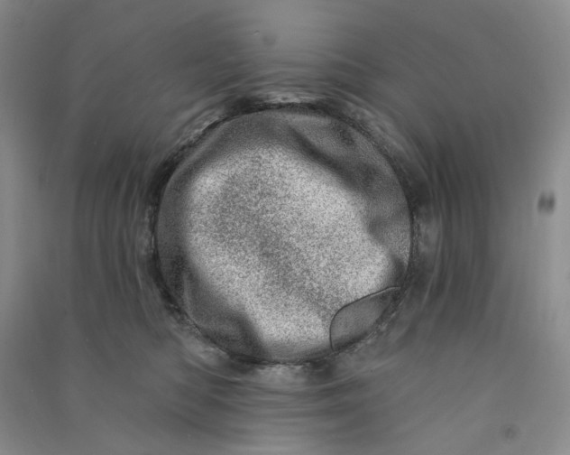 X0000090870422200708171629