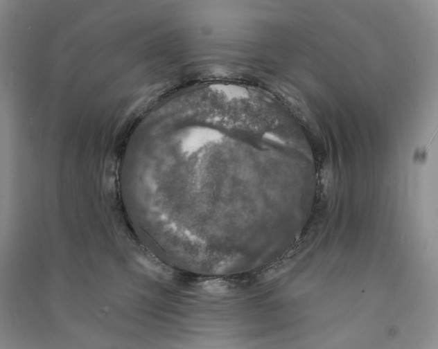 X0000090870423200708171629