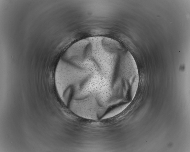 X0000090870426200708171629