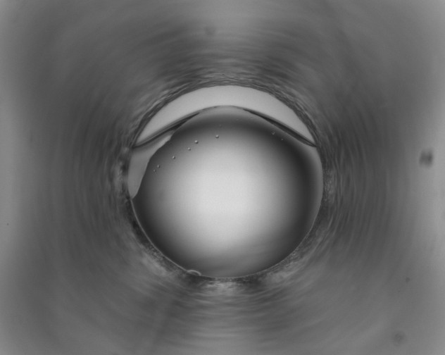 X0000090870428200708171629