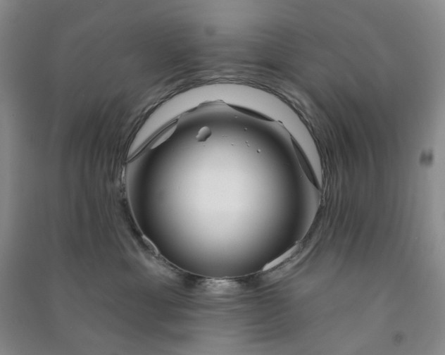 X0000090870429200708171629