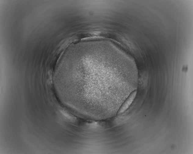 X0000090870430200708171629