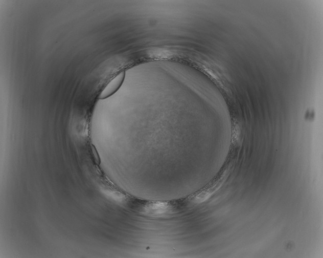 X0000090870431200708171629