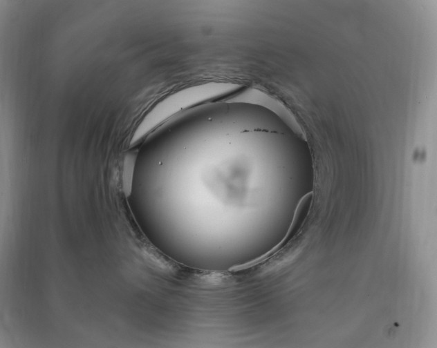 X0000090870432200708171629