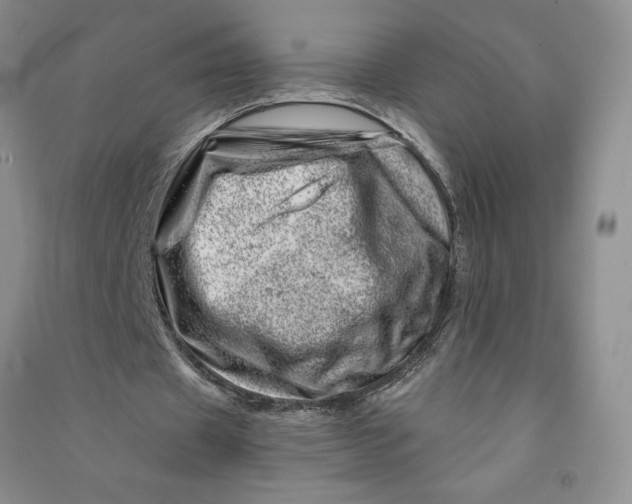 X0000090870433200708171628