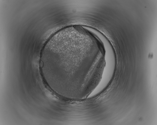 X0000090870434200708171628