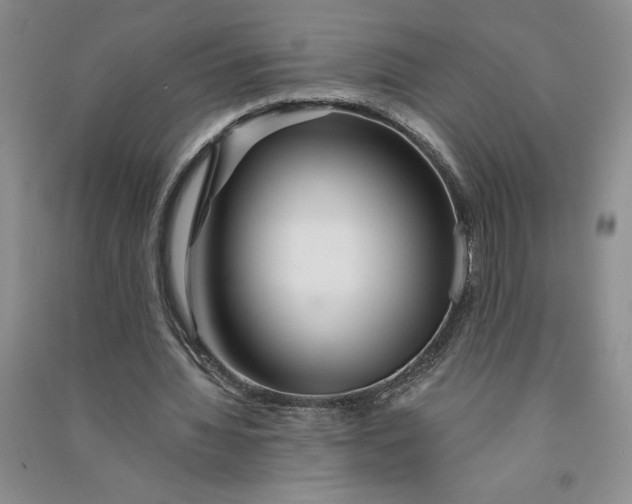 X0000090870436200708171628