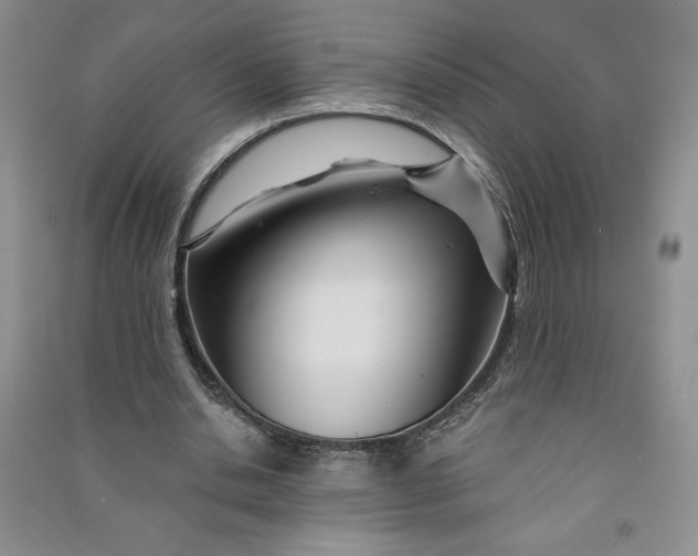 X0000090870438200708171628