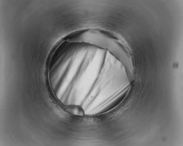 X0000090870439200708171628