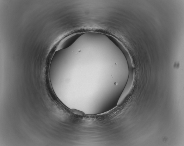 X0000090870440200708171628