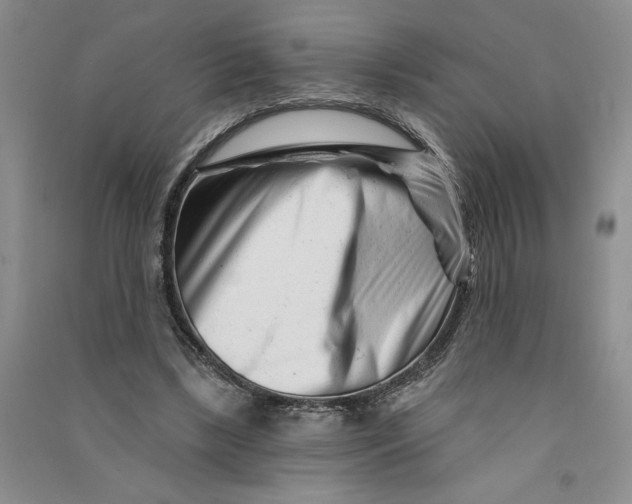 X0000090870443200708171628