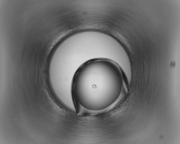 X0000090870444200708171628