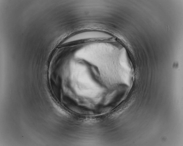 X0000090870445200708171628