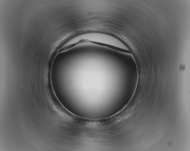 X0000090870446200708171628