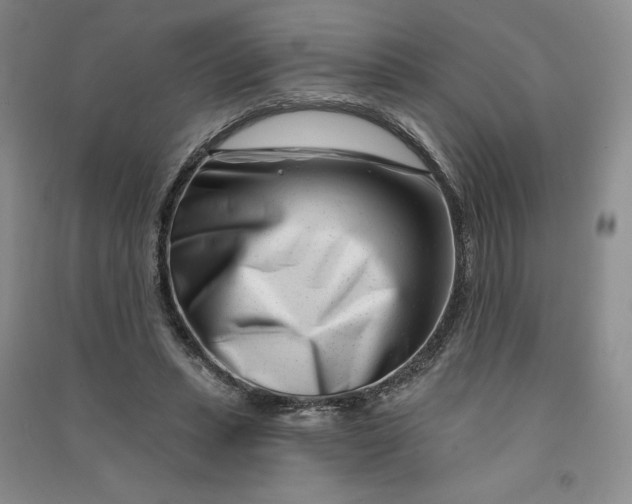 X0000090870447200708171628