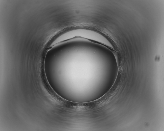 X0000090870448200708171628