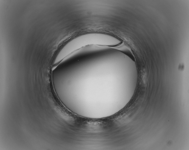 X0000090870450200708171628