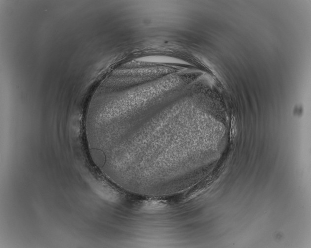 X0000090870451200708171628