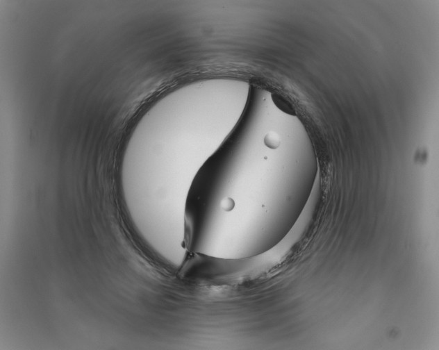 X0000090870452200708171628