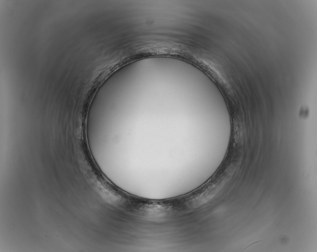 X0000090870453200708171628