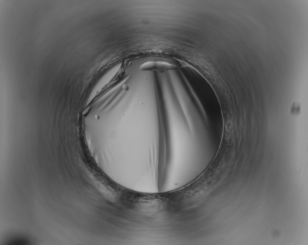 X0000090870454200708171628