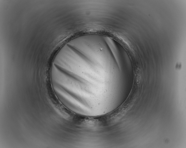 X0000090870455200708171628