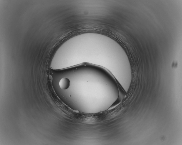 X0000090870456200708171628