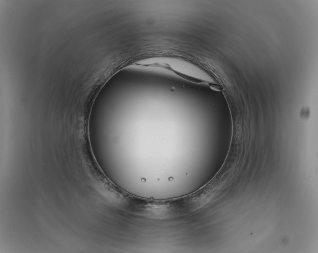 X0000090870457200708171628