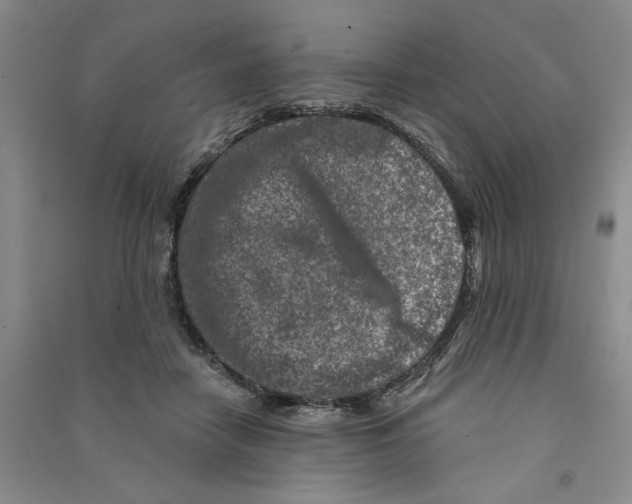 X0000090870458200708171628