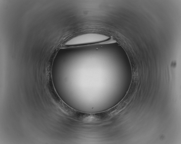 X0000090870460200708171628