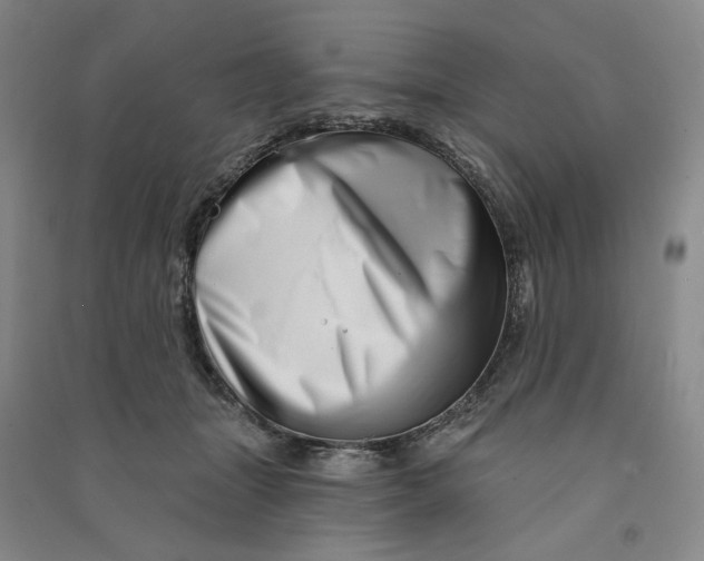 X0000090870463200708171628