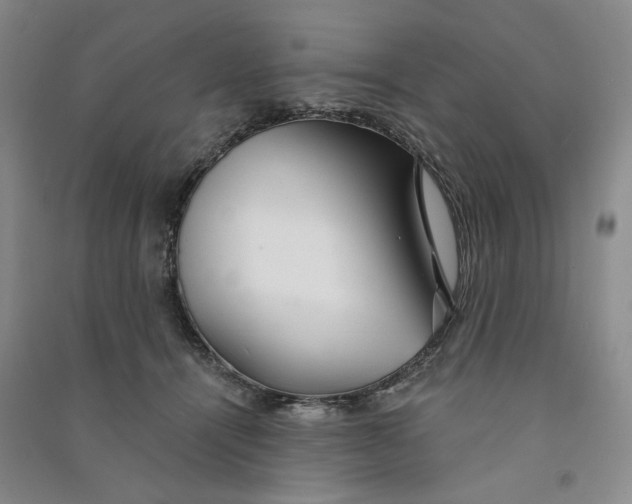 X0000090870464200708171628