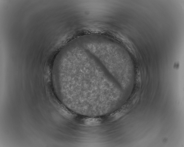 X0000090870465200708171628