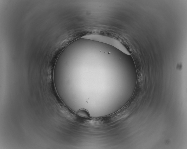 X0000090870466200708171628