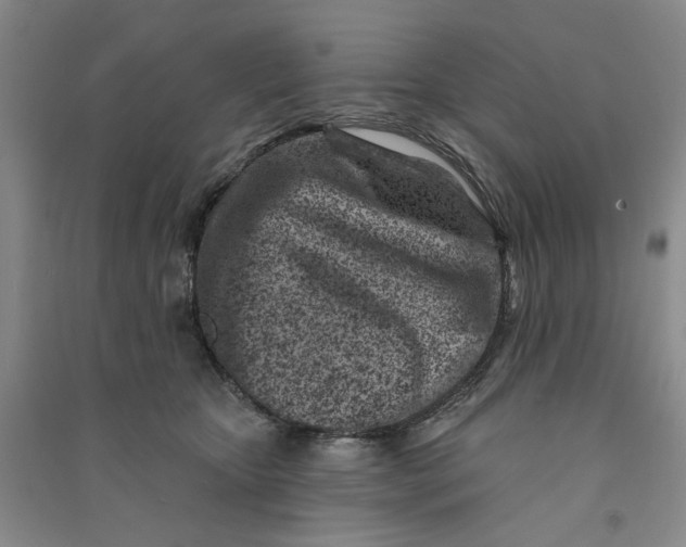 X0000090870467200708171628