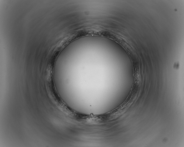 X0000090870468200708171628