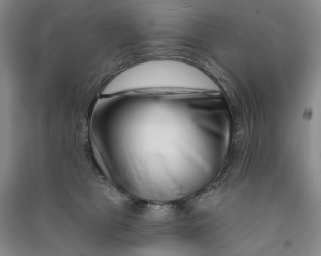 X0000090870469200708171628