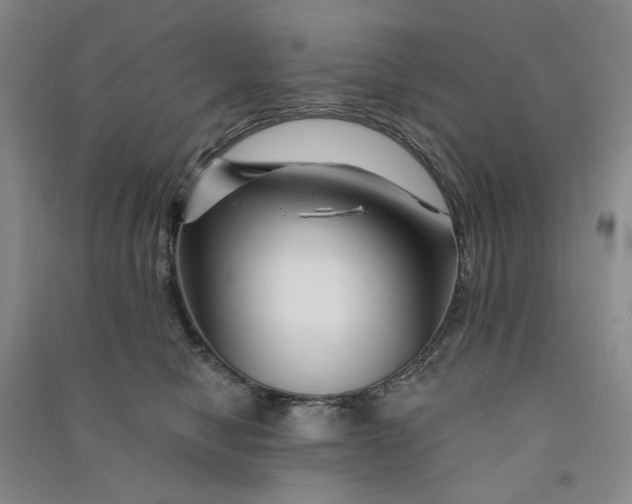 X0000090870470200708171628