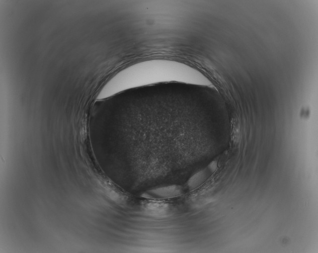 X0000090870471200708171628