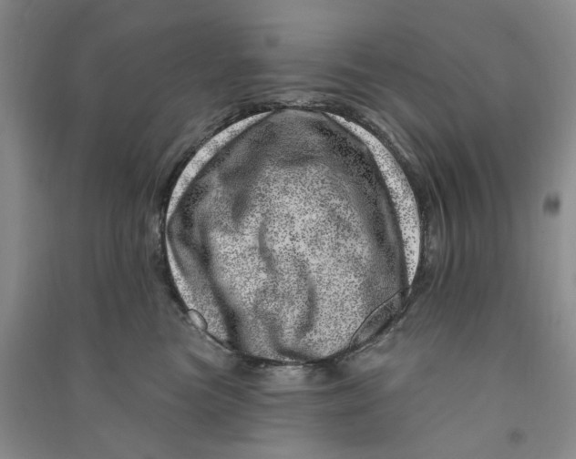 X0000090870473200708171628