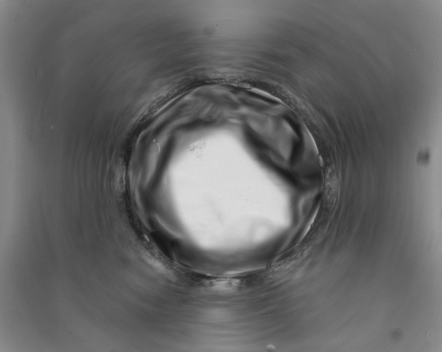 X0000090870474200708171628