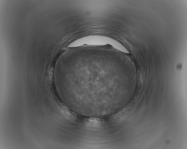 X0000090870475200708171629