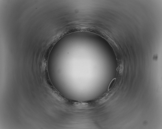 X0000090870476200708171629