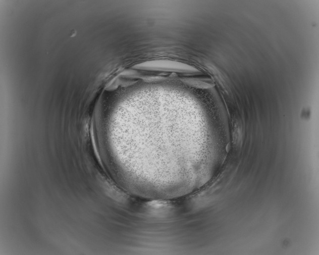 X0000090870477200708171629