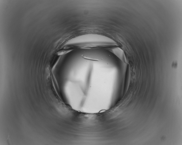 X0000090870478200708171629