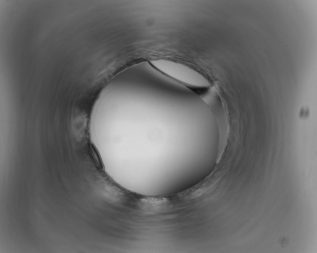 X0000090870480200708171629