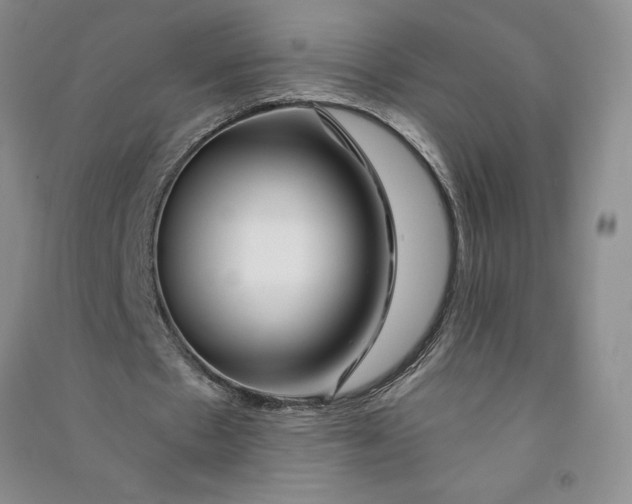 X0000090870481200708171628