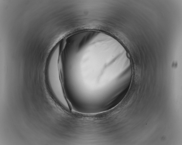 X0000090870482200708171628