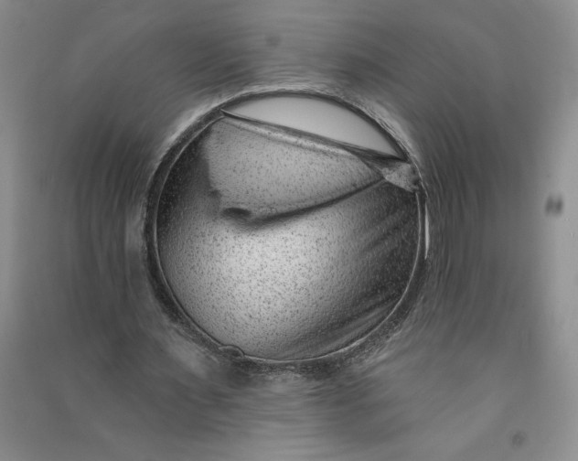 X0000090870483200708171628